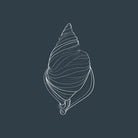 Shell by Alessandra Gagliano on GIANT ART - gray vector illustration