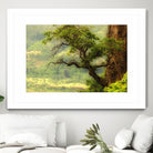 Nature mountain sunrise landscape tree by Retno Asih Mustakimah on GIANT ART - green photo manipulation