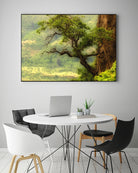 Nature mountain sunrise landscape tree by Retno Asih Mustakimah on GIANT ART - green photo manipulation