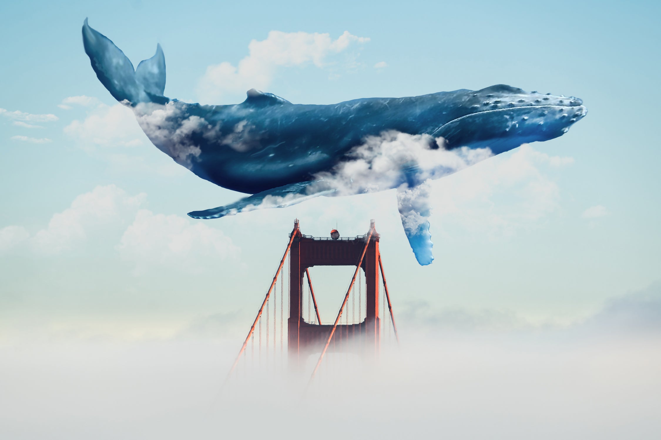 Whale Tails Golden Gate Bridge by David Loblaw on GIANT ART - blue photo manipulation