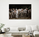 dog herd canine animal pet hounds by Retno Asih Mustakimah on GIANT ART - brown photo manipulation