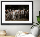 dog herd canine animal pet hounds by Retno Asih Mustakimah on GIANT ART - brown photo manipulation