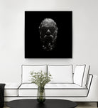 Socrates by Rinat Mirassov on GIANT ART - black 3d art