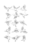 Birds by Edmund Maier on GIANT ART - white digital painting