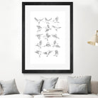 Birds by Edmund Maier on GIANT ART - white digital painting