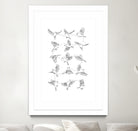 Birds by Edmund Maier on GIANT ART - white digital painting