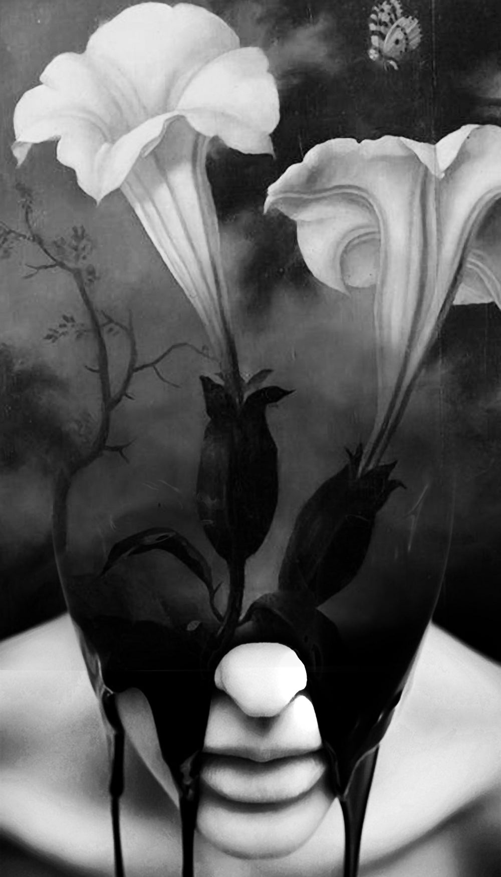 Datura by Antonio Mora on GIANT ART - photo manipulation