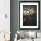 Loughtons Forest by Steven Sandner on GIANT ART - white digital drawing