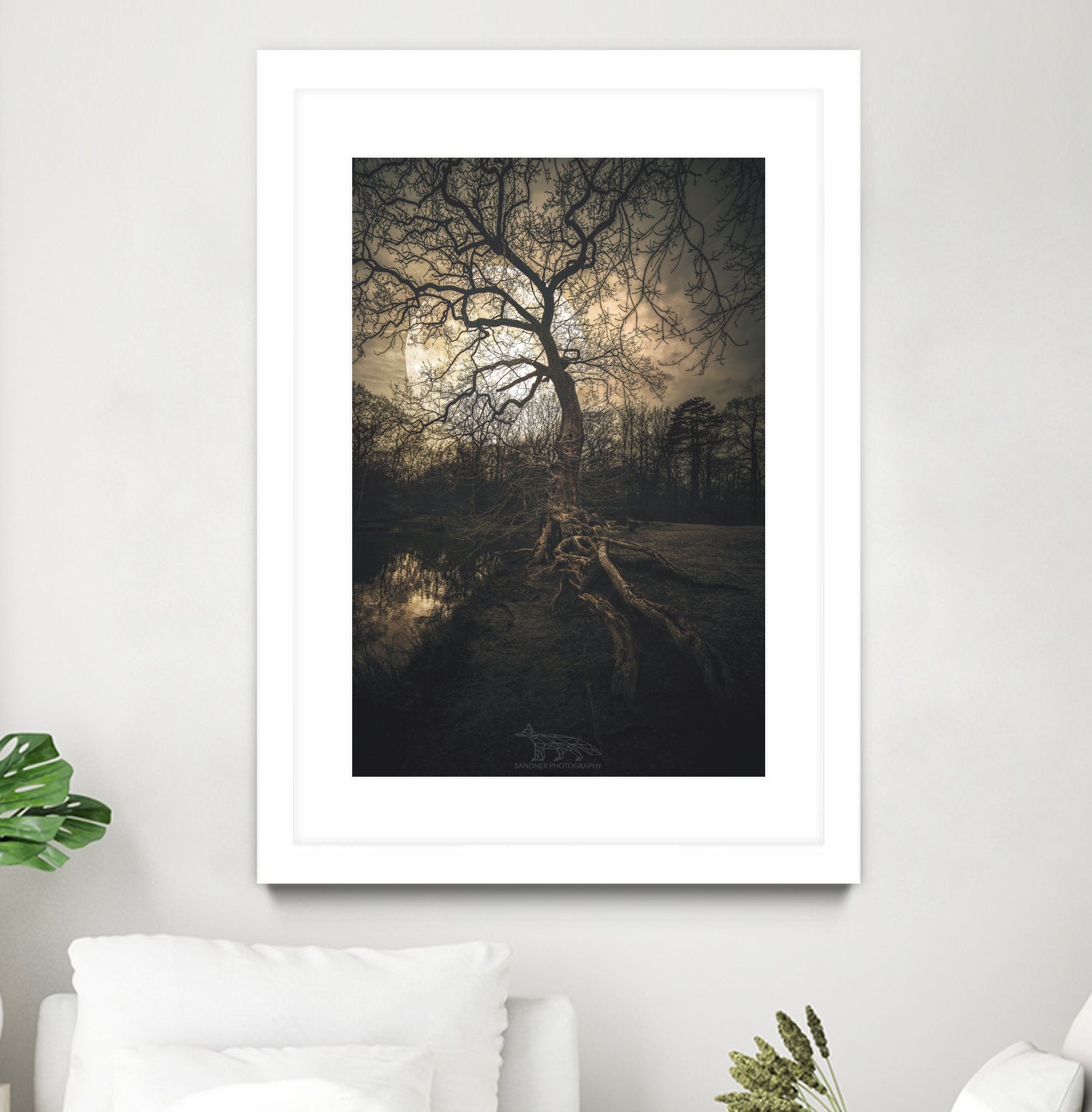 Loughtons Forest by Steven Sandner on GIANT ART - white digital drawing