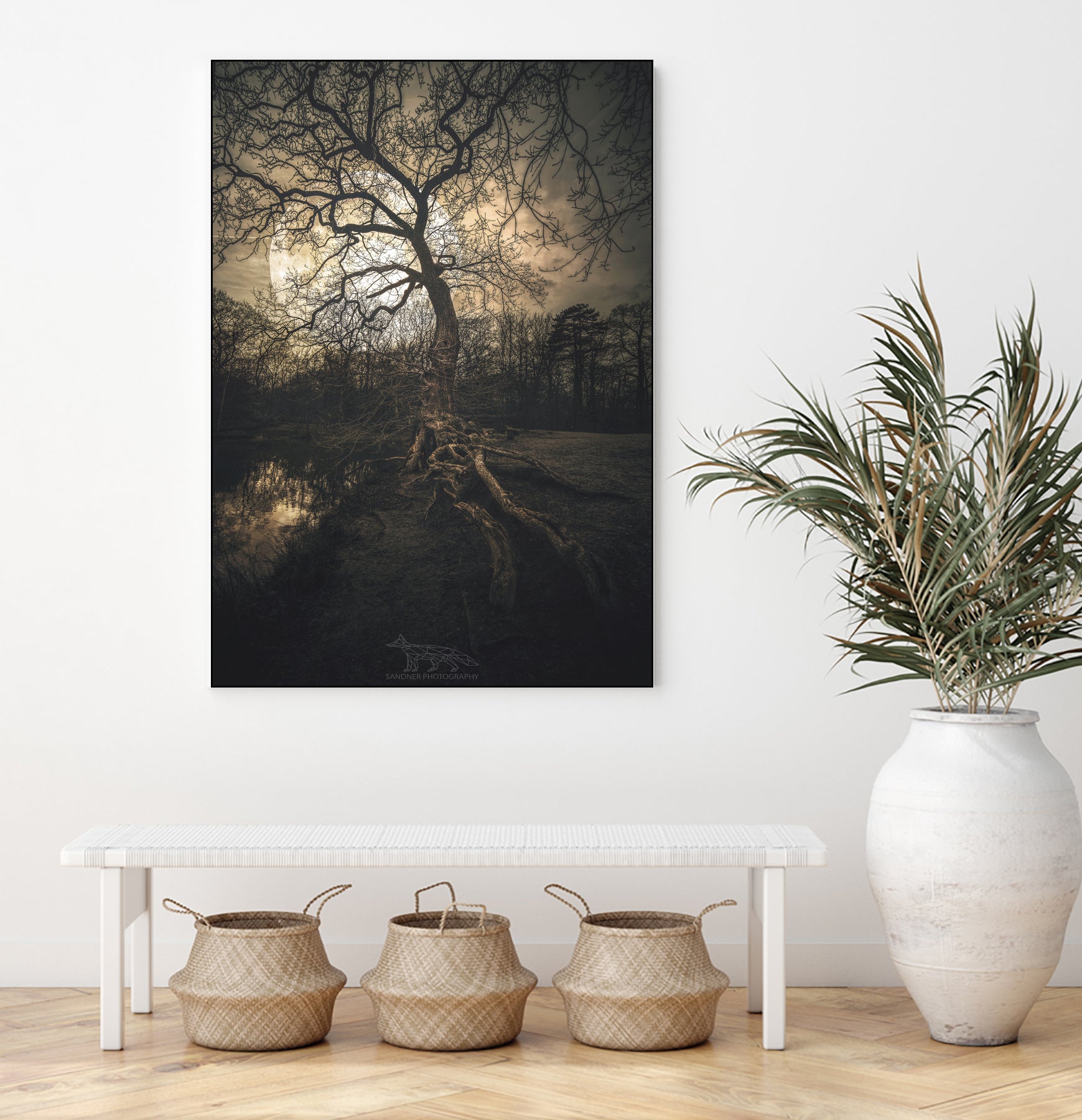 Loughtons Forest by Steven Sandner on GIANT ART - white digital drawing