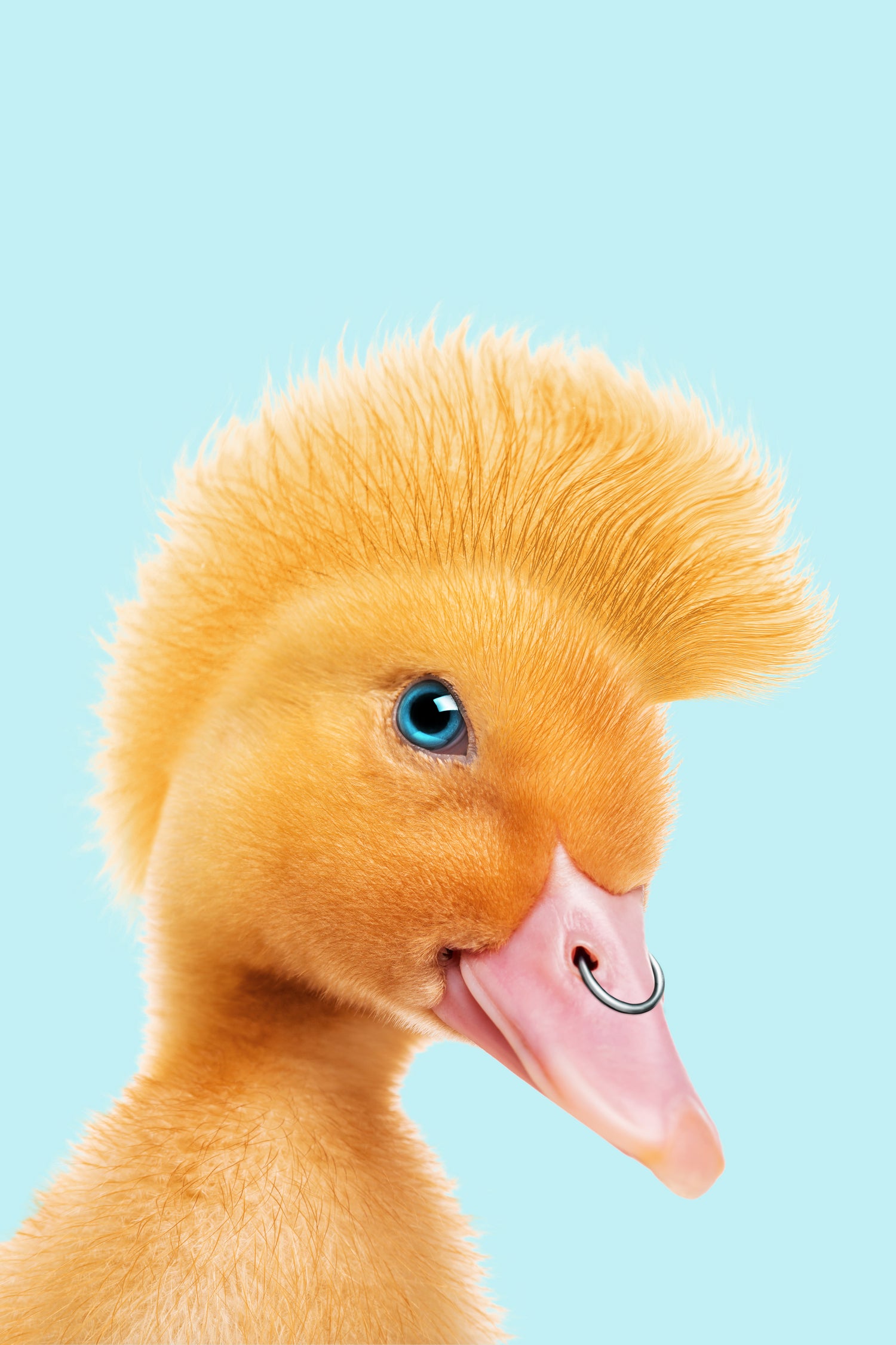 REBEL DUCKLING by Jonas Loose on GIANT ART - yellow photo manipulation