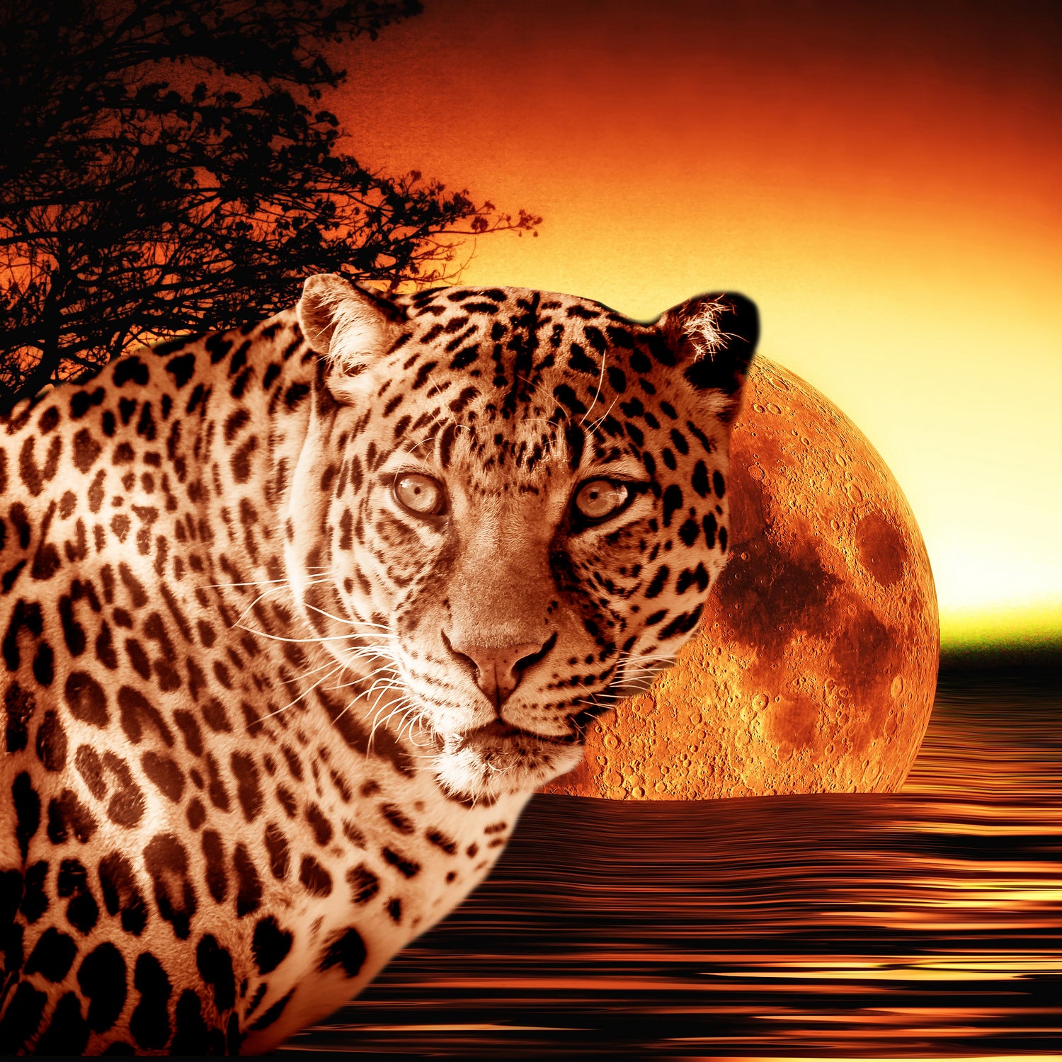 Leopard and Red Moon by Erika Kaisersot on GIANT ART - orange photo illustration