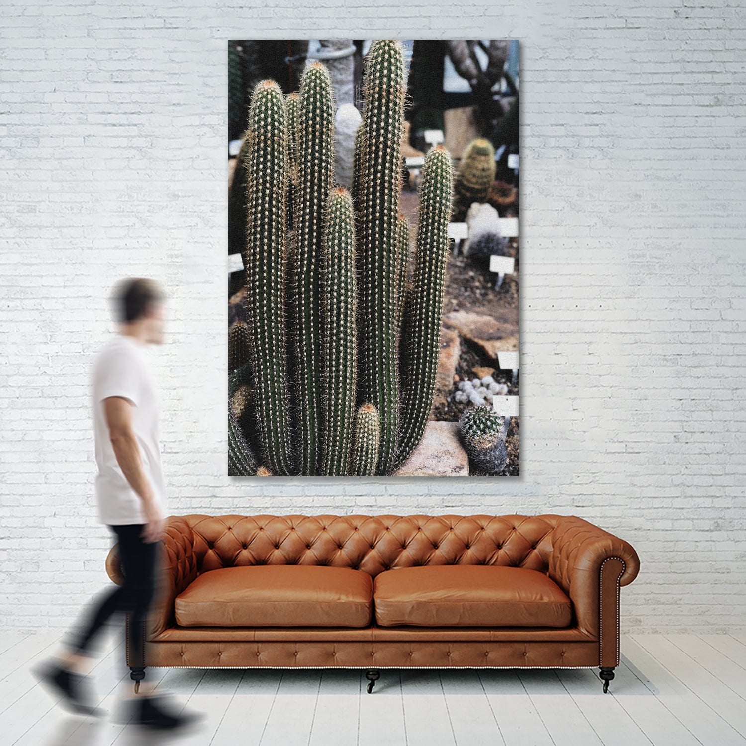 Micranthocereus Cactus by Anastasia Sawall on GIANT ART - green photo illustration