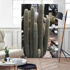 Micranthocereus Cactus by Anastasia Sawall on GIANT ART - green photo illustration