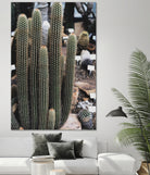 Micranthocereus Cactus by Anastasia Sawall on GIANT ART - green photo illustration