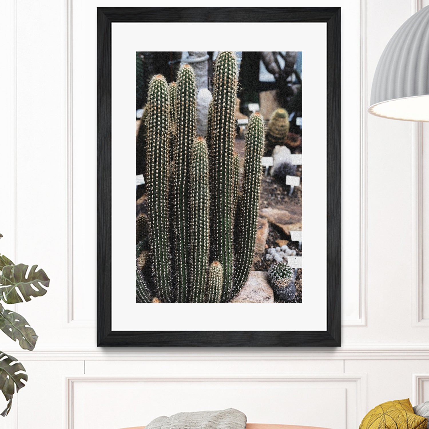 Micranthocereus Cactus by Anastasia Sawall on GIANT ART - green photo illustration