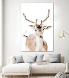 Deer I by Victoria Frost on GIANT ART - white photo manipulation