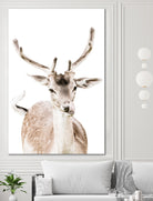 Deer I by Victoria Frost on GIANT ART - white photo manipulation