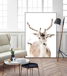 Deer I by Victoria Frost on GIANT ART - white photo manipulation