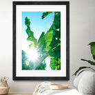 Banana Leaves Delight #1 #tropical #decor #art by Anita & Bella Jantz on GIANT ART - green photo illustration