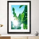 Banana Leaves Delight #1 #tropical #decor #art by Anita & Bella Jantz on GIANT ART - green photo illustration