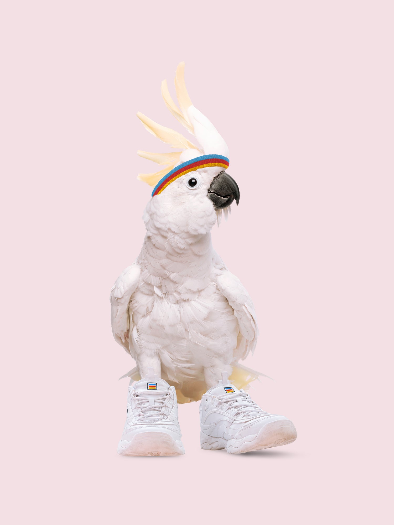 SNEAKER COCKATOO by Jonas Loose on GIANT ART - pink photo manipulation