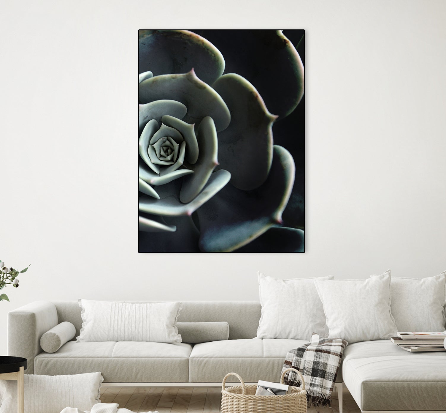 DARKSIDE OF SUCCULENTS XVI-B by Pia Schneider on GIANT ART - black photo manipulation