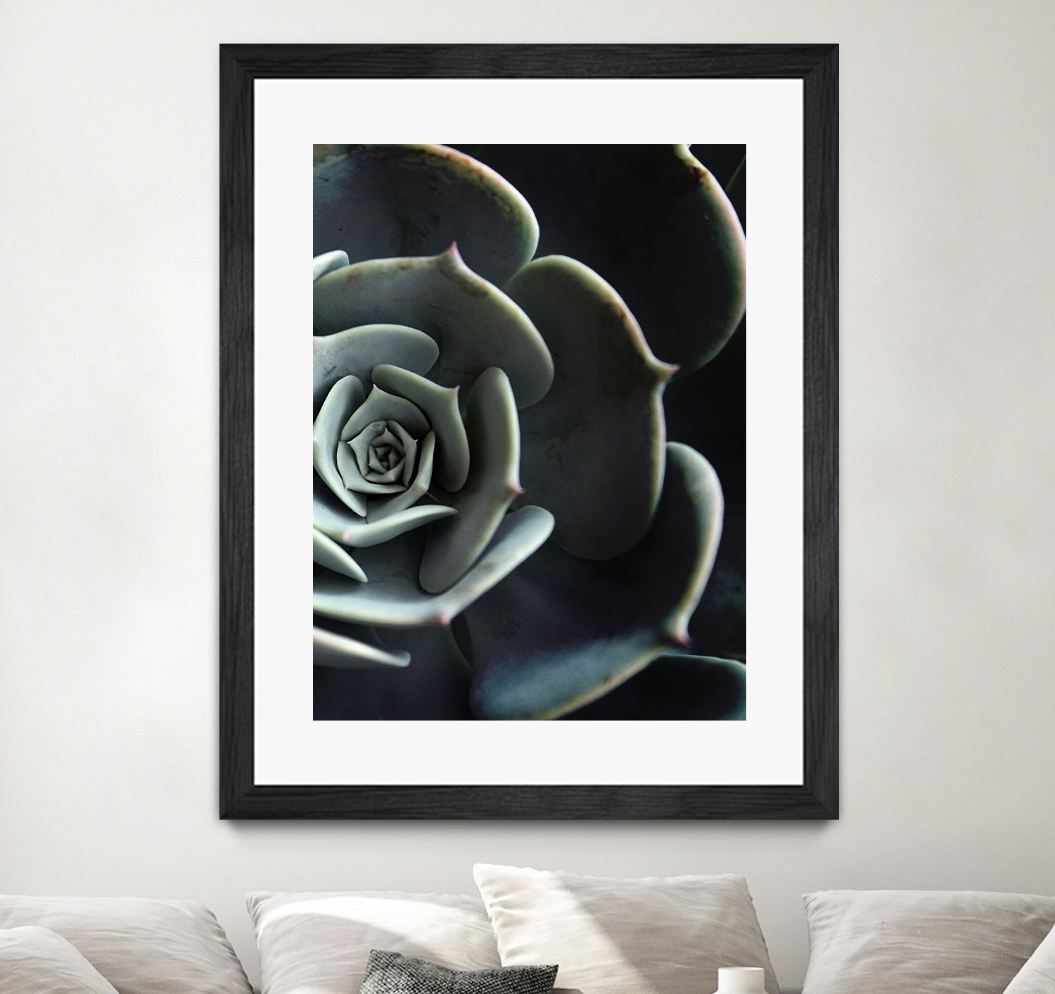 DARKSIDE OF SUCCULENTS XVI-B by Pia Schneider on GIANT ART - black photo manipulation