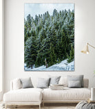 Pine Tree Forest Blue and Green Dense Forest by RJ Byrd on GIANT ART - green photo illustration