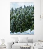 Pine Tree Forest Blue and Green Dense Forest by RJ Byrd on GIANT ART - green photo illustration