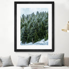 Pine Tree Forest Blue and Green Dense Forest by RJ Byrd on GIANT ART - green photo illustration