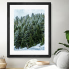 Pine Tree Forest Blue and Green Dense Forest by RJ Byrd on GIANT ART - green photo illustration