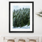 Pine Tree Forest Blue and Green Dense Forest by RJ Byrd on GIANT ART - green photo illustration