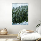 Pine Tree Forest Blue and Green Dense Forest by RJ Byrd on GIANT ART - green photo illustration