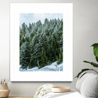 Pine Tree Forest Blue and Green Dense Forest by RJ Byrd on GIANT ART - green photo illustration