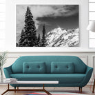 Trees Taller than the Highest Peak by Alex Tonetti on GIANT ART - gray photo illustration