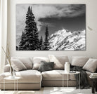 Trees Taller than the Highest Peak by Alex Tonetti on GIANT ART - gray photo illustration