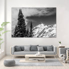 Trees Taller than the Highest Peak by Alex Tonetti on GIANT ART - gray photo illustration