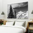 Trees Taller than the Highest Peak by Alex Tonetti on GIANT ART - gray photo illustration