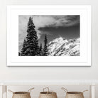 Trees Taller than the Highest Peak by Alex Tonetti on GIANT ART - gray photo illustration