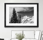 Trees Taller than the Highest Peak by Alex Tonetti on GIANT ART - gray photo illustration