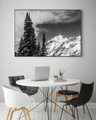 Trees Taller than the Highest Peak by Alex Tonetti on GIANT ART - gray photo illustration