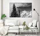 Trees Taller than the Highest Peak by Alex Tonetti on GIANT ART - gray photo illustration