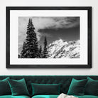 Trees Taller than the Highest Peak by Alex Tonetti on GIANT ART - gray photo illustration