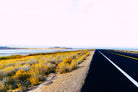 Along the Salt Flats by Alex Tonetti on GIANT ART - yellow photo illustration