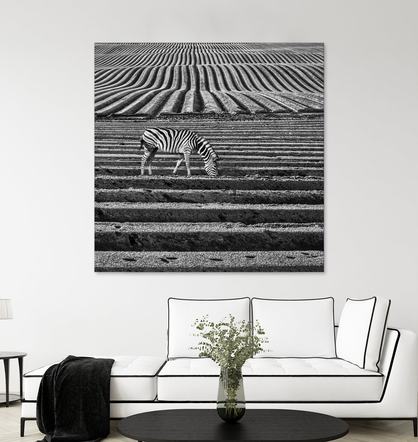 Zebra Field by Dariusz Klimczak on GIANT ART - gray photo illustration