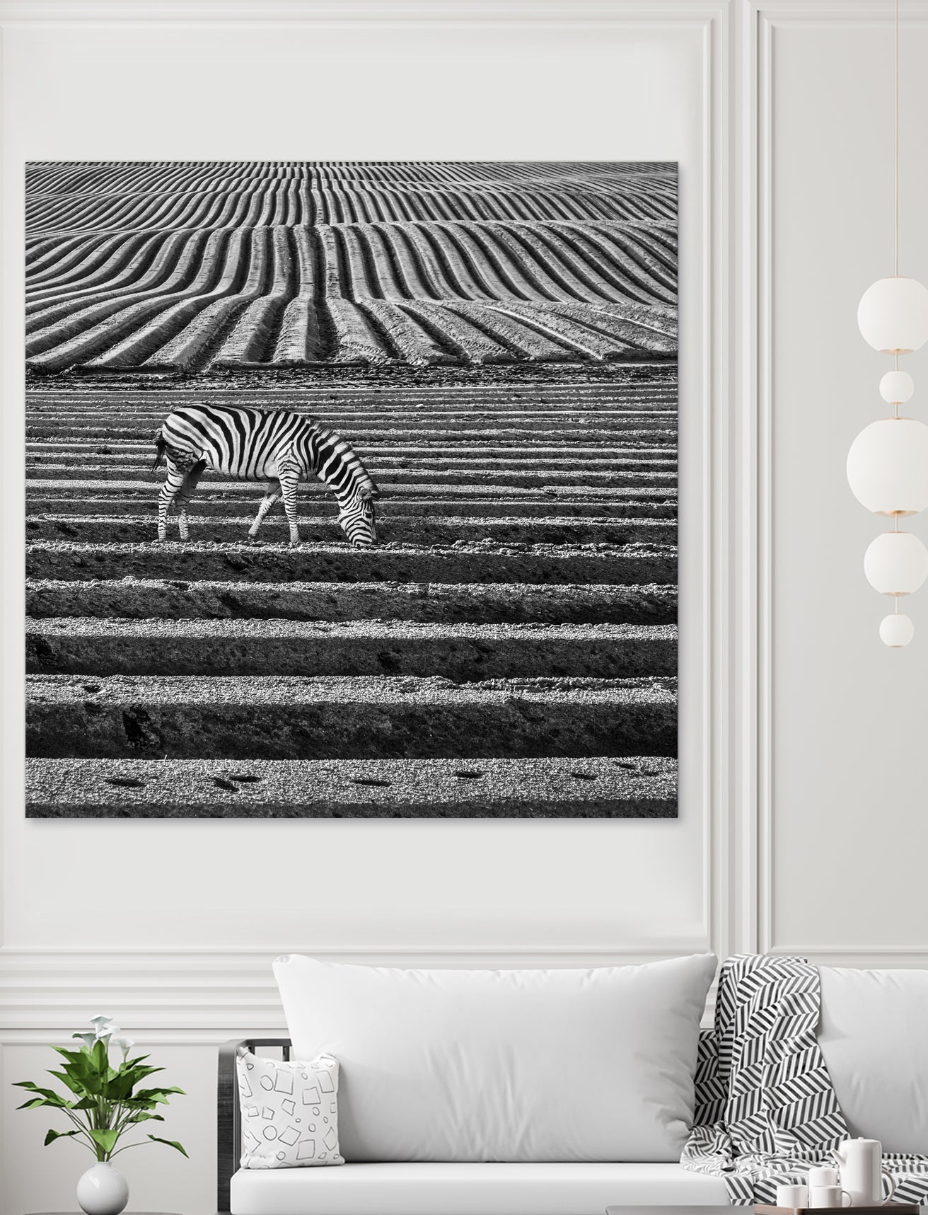 Zebra Field by Dariusz Klimczak on GIANT ART - gray photo illustration