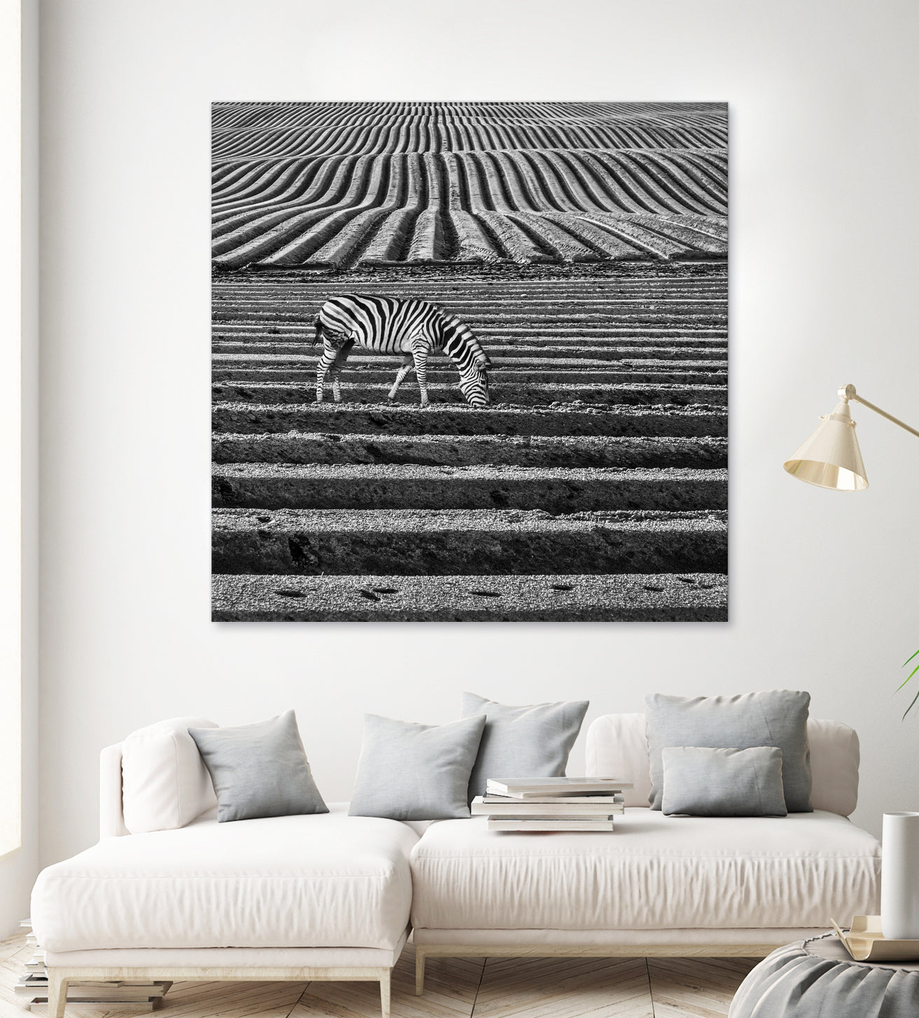 Zebra Field by Dariusz Klimczak on GIANT ART - gray photo illustration