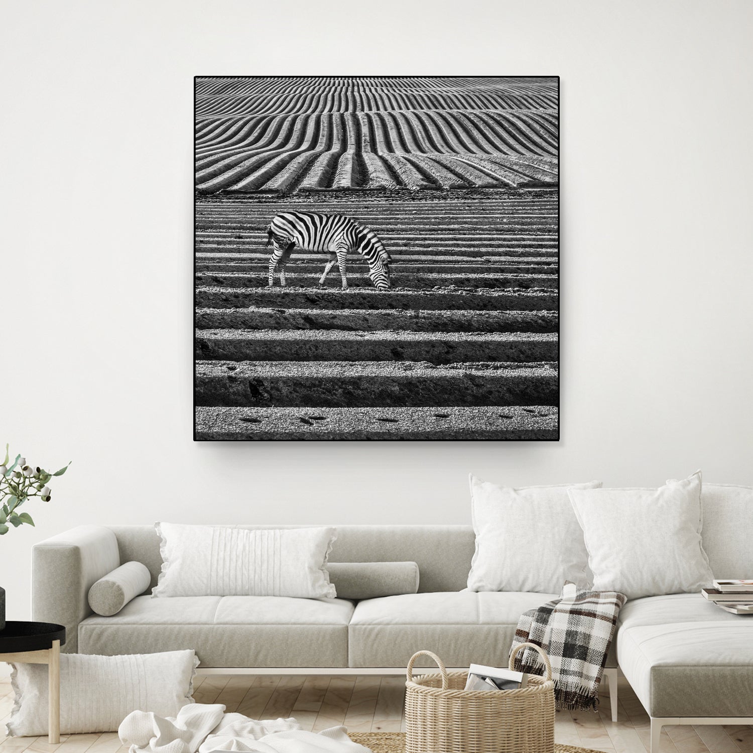 Zebra Field by Dariusz Klimczak on GIANT ART - gray photo illustration