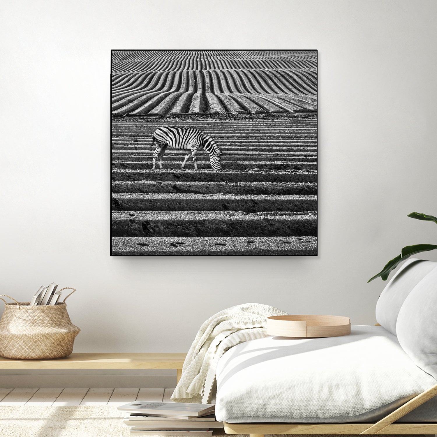 Zebra Field by Dariusz Klimczak on GIANT ART - gray photo illustration